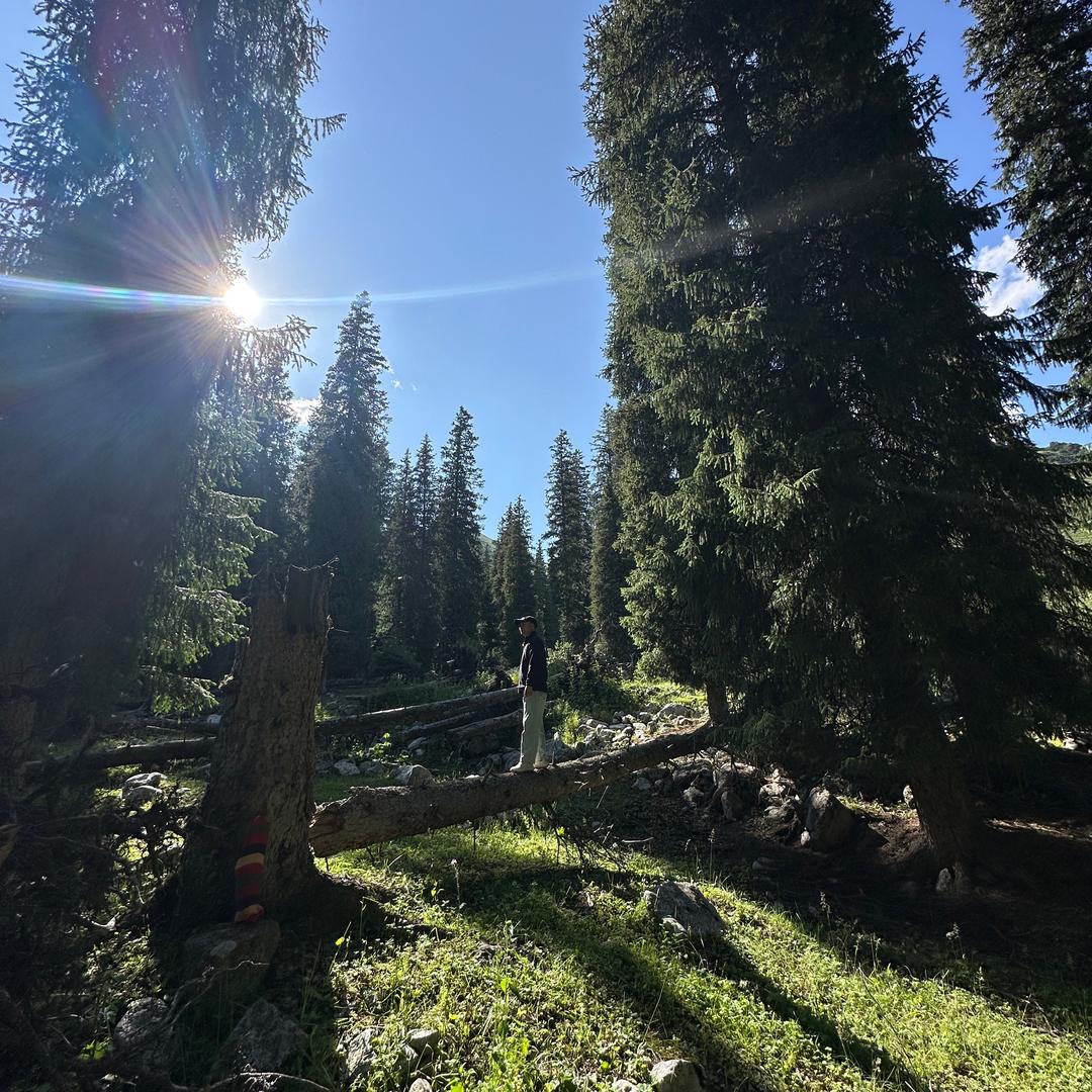 炫音老头🎤翻唱经典歌曲