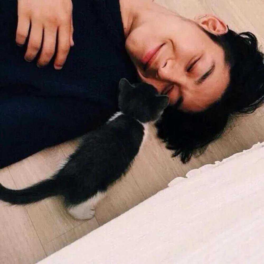 傲。