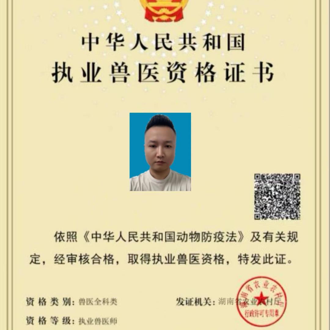 宠医小圣手