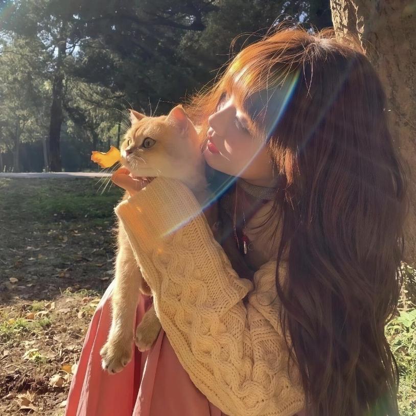 温州皓绮女鞋小个子优选