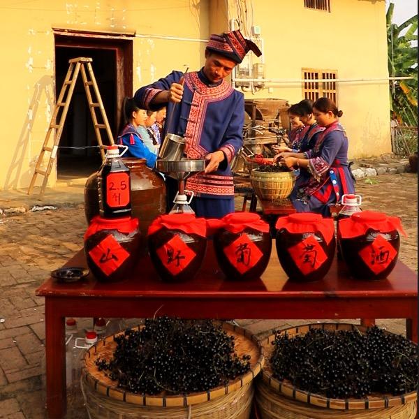 壮乡小莫（山野葡萄酒）