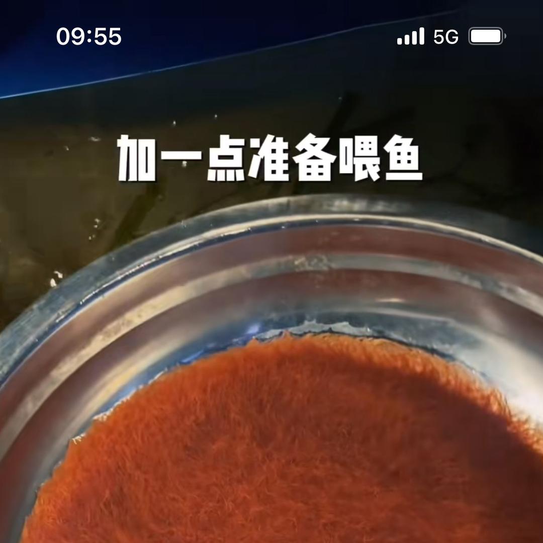 江苏红虫批发零售店
