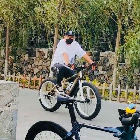 革命军中马前卒🚲🛹🪂🤿🦋♐️