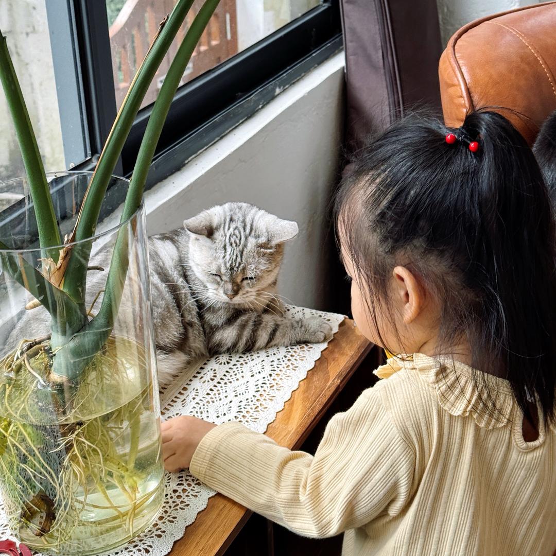 🍰ChUn·烘焙蛋糕cake 𓆞