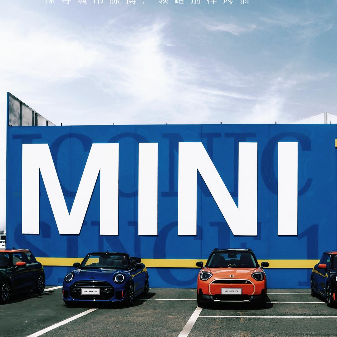 青岛中达燕京MINI-羊毛版