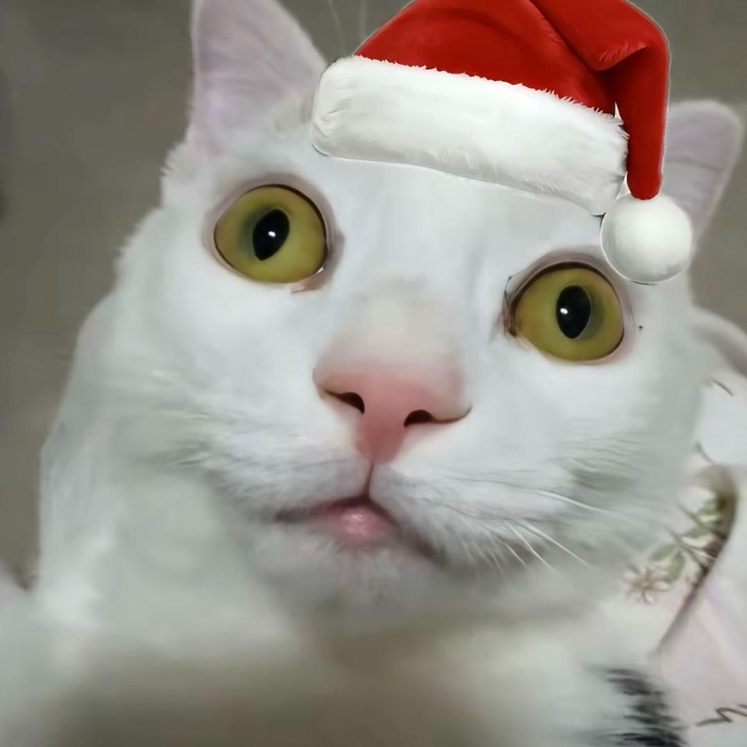 假装当m趁s没劲的时候疯狂还手