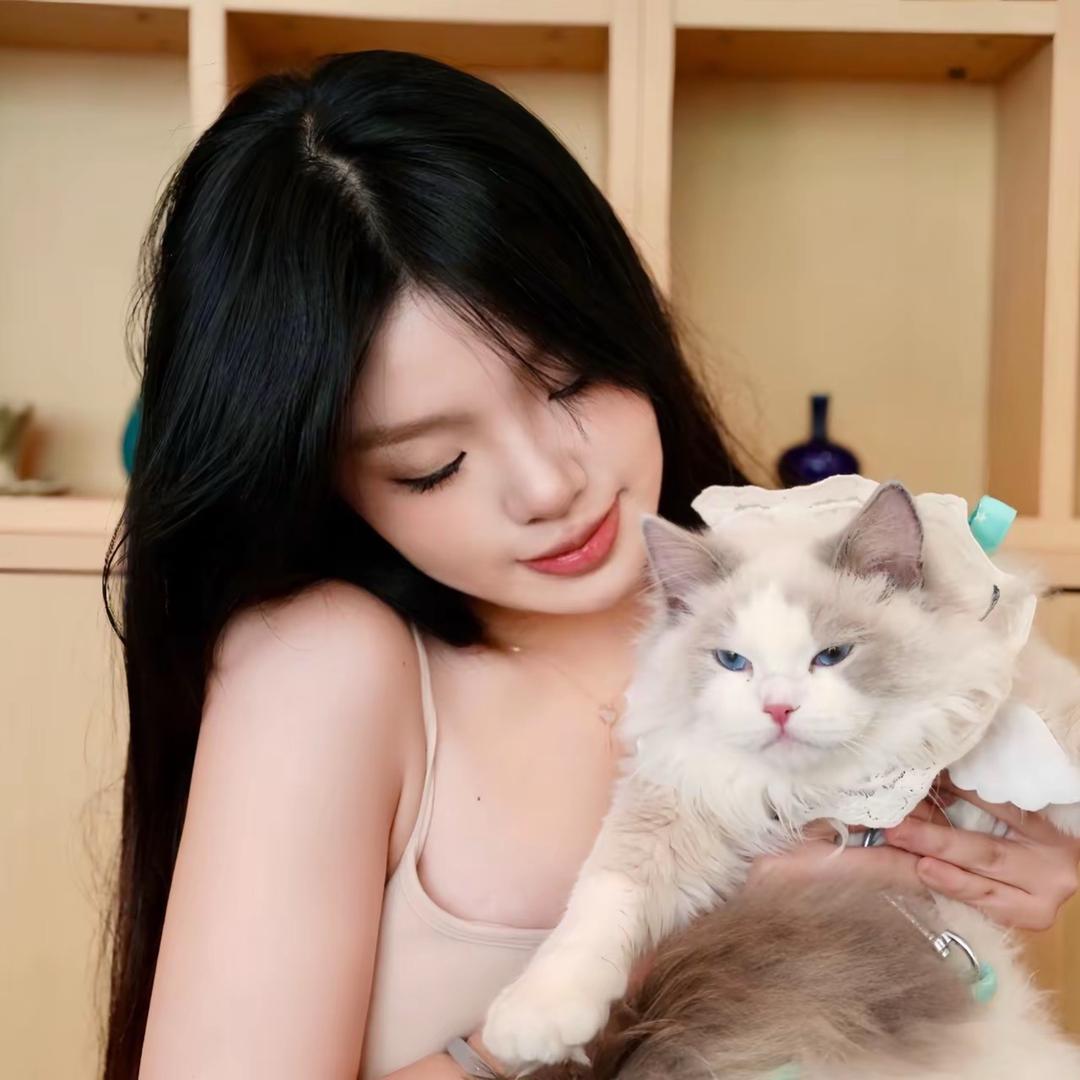 小y-