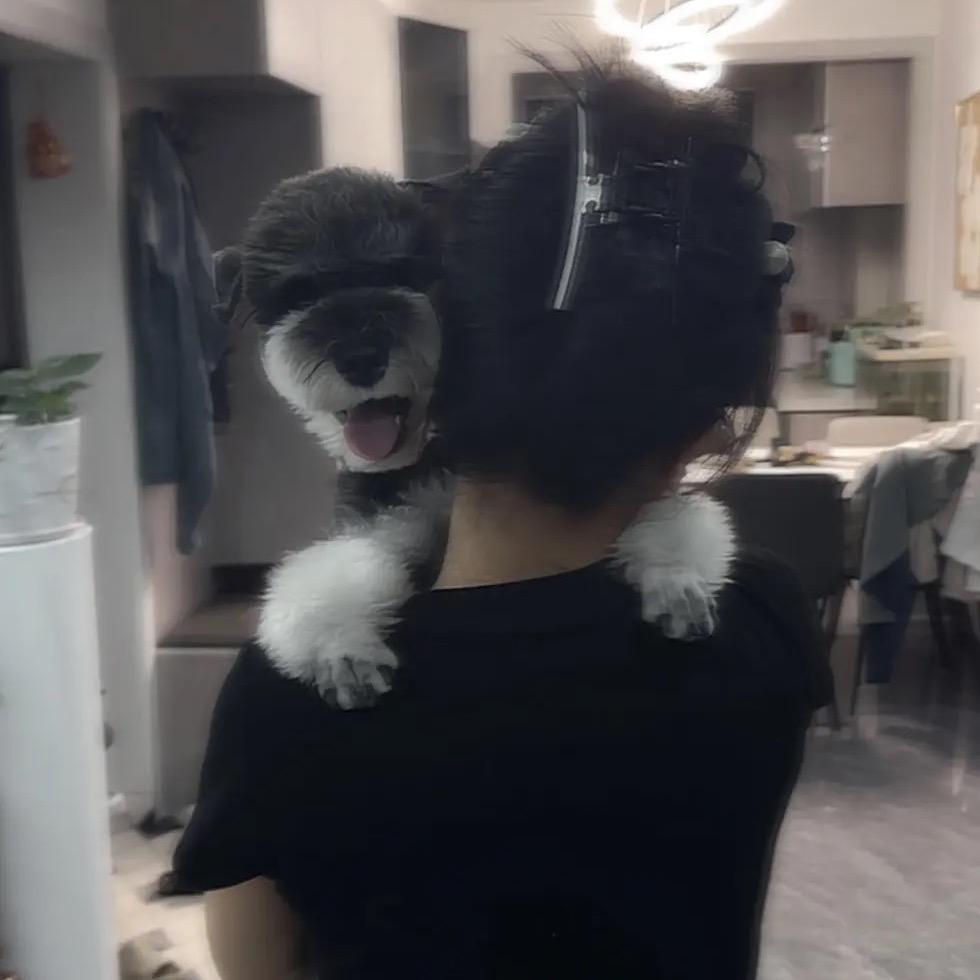 一只小狗叫可乐