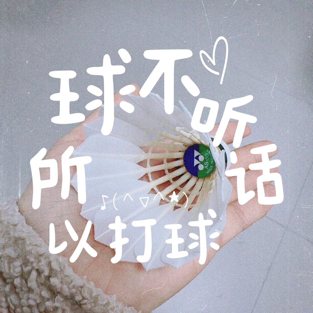 打馆长的羽毛球🏸