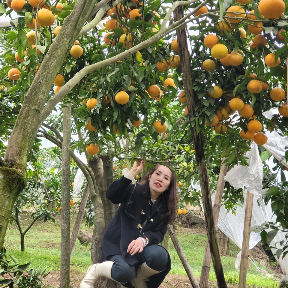 威远琴琴痣缘宫美肤店