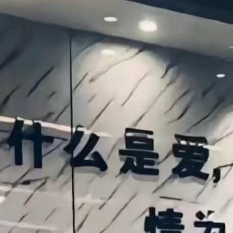 骑猪去兜风
