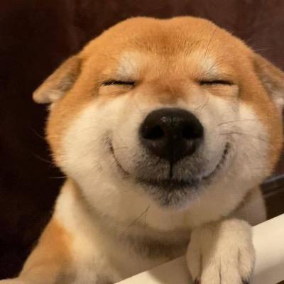 痴狗娱乐