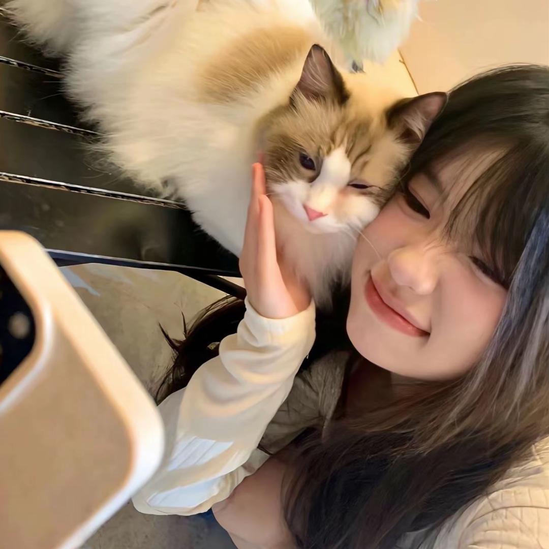 1糕糕
