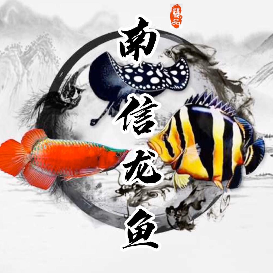 南信水族龙鱼贸易