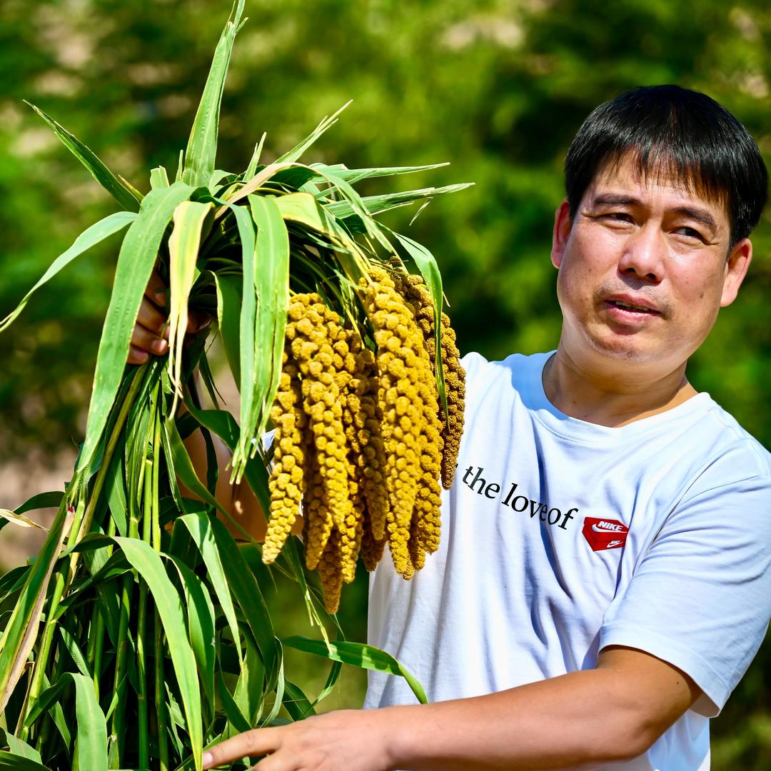 河南汝州驻村养田