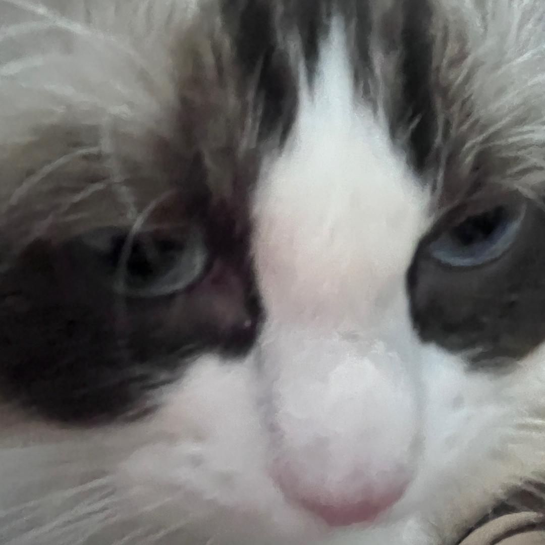 Www.