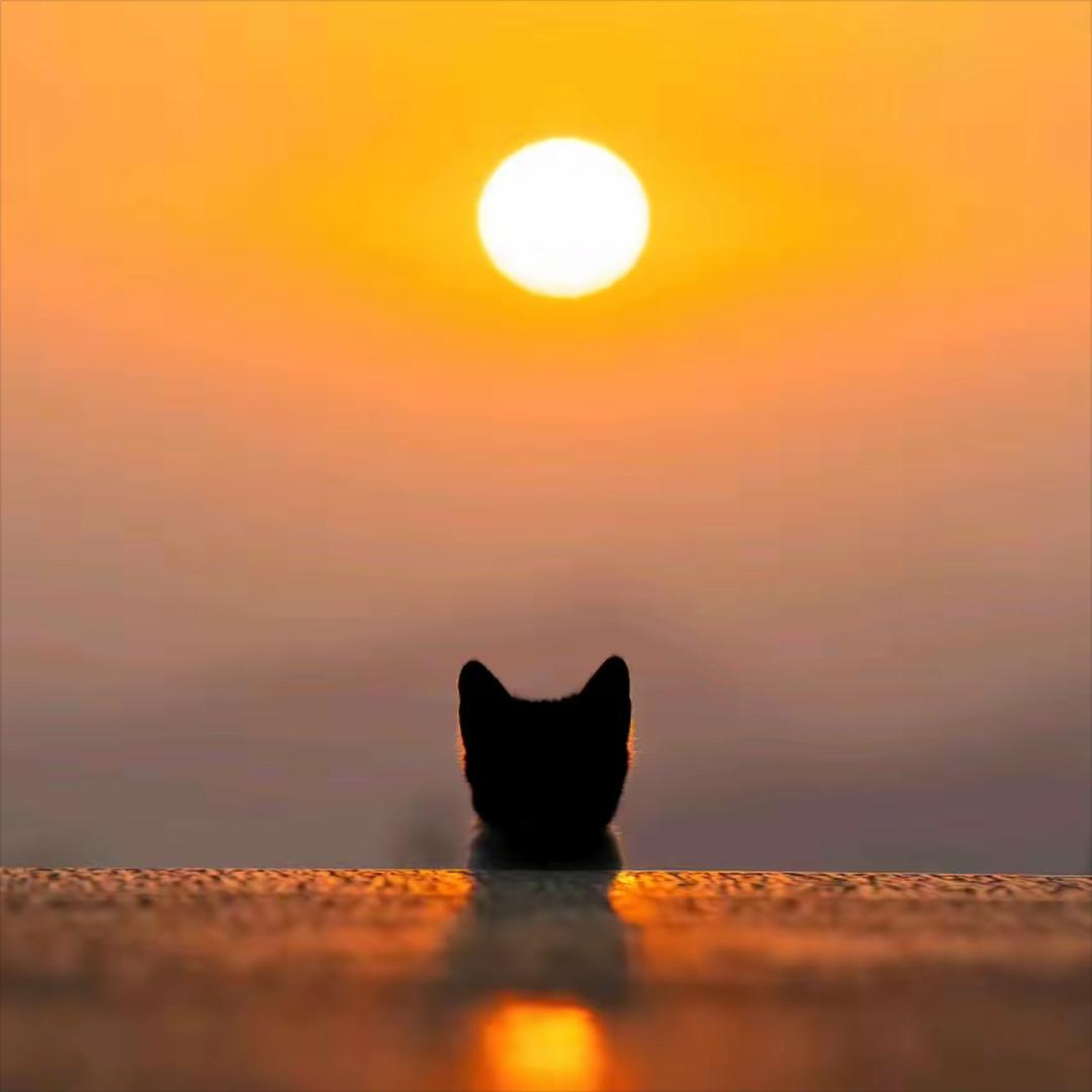 千兰