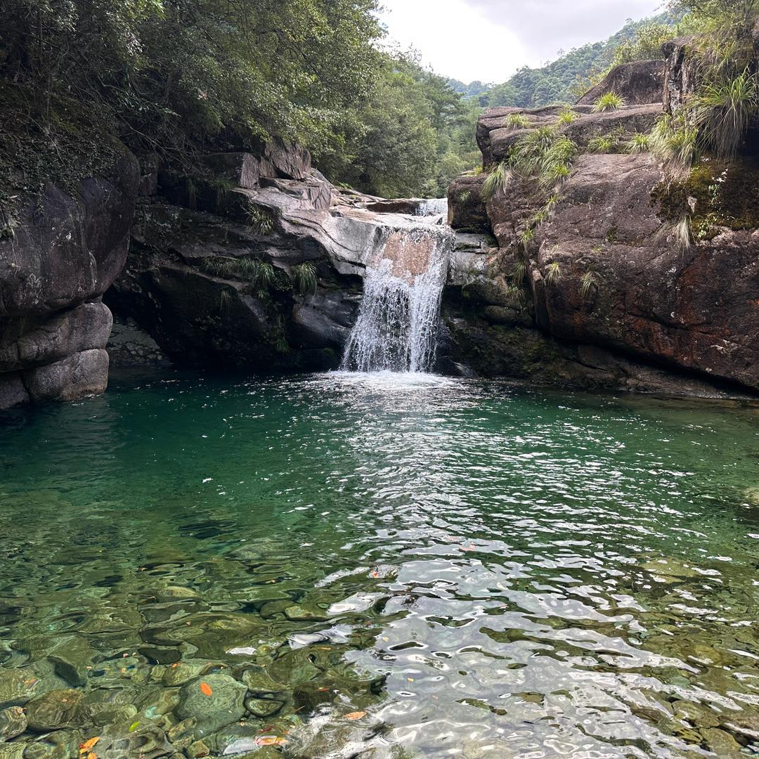 梦想成珍
