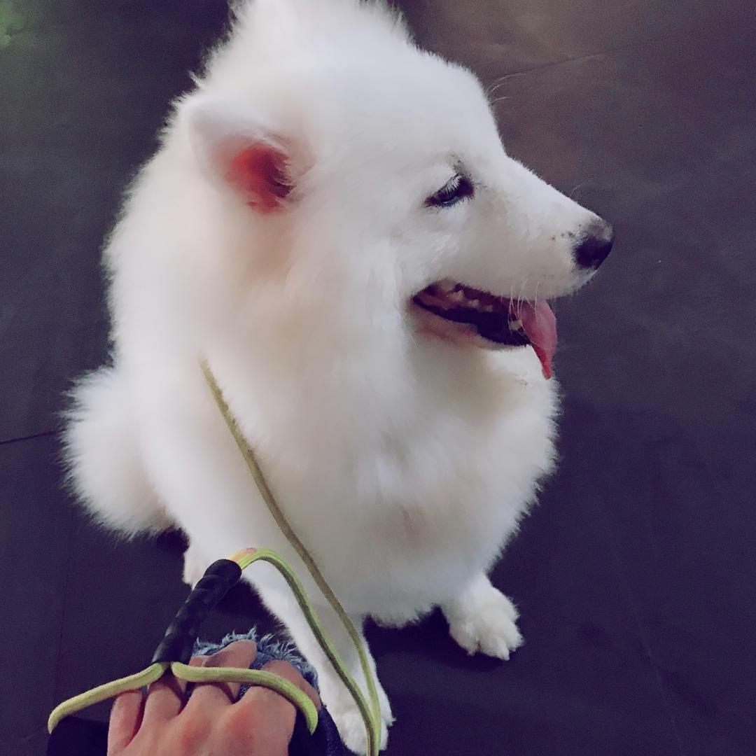 17，越来越幸运！！