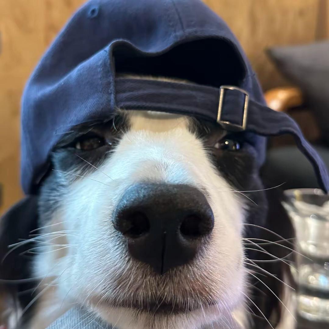ZZZZZ