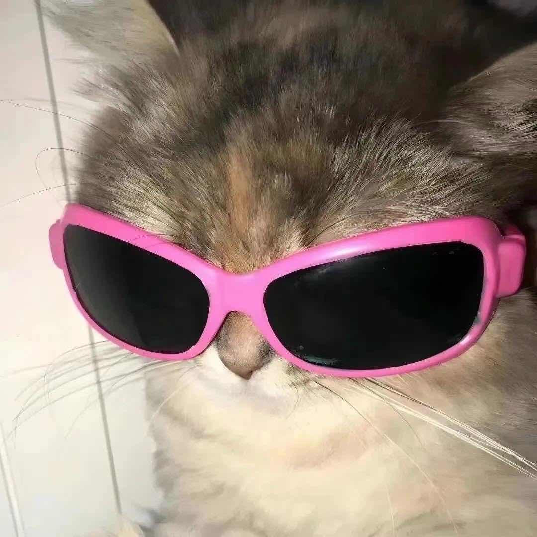 -L💫