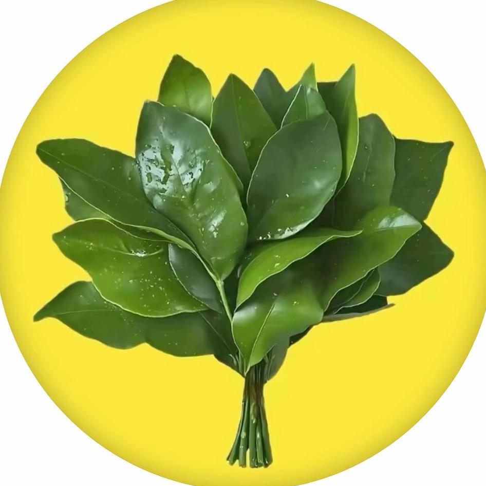 是金社长不是钟楚曦