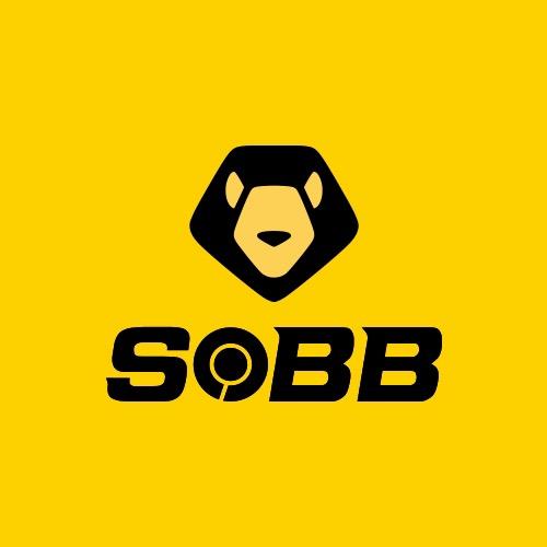 SOBB浙江兽霸儿童用品有限公司亲子专卖店
