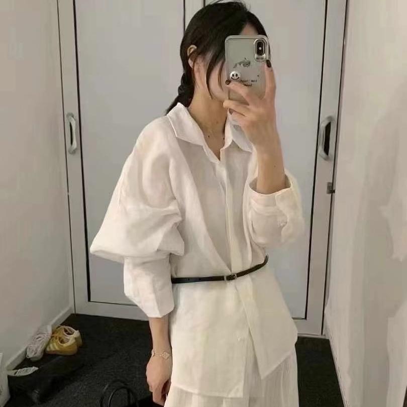 只想发财无二心🌲