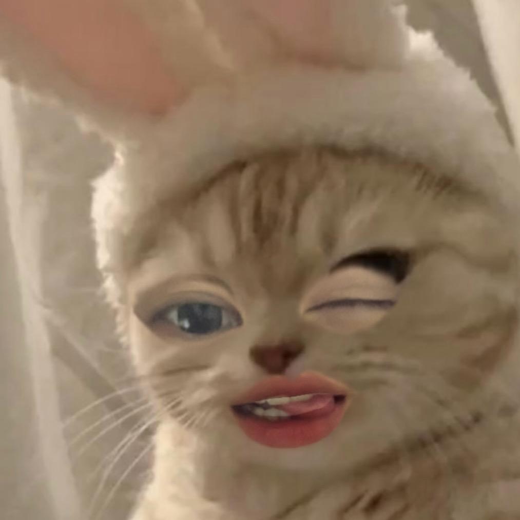 小茶