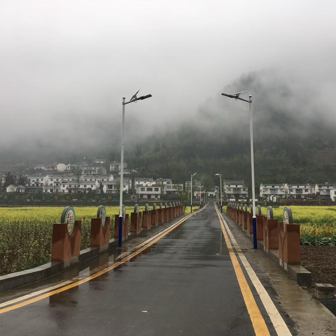 青竹老哥（正能量）——请看视频↓