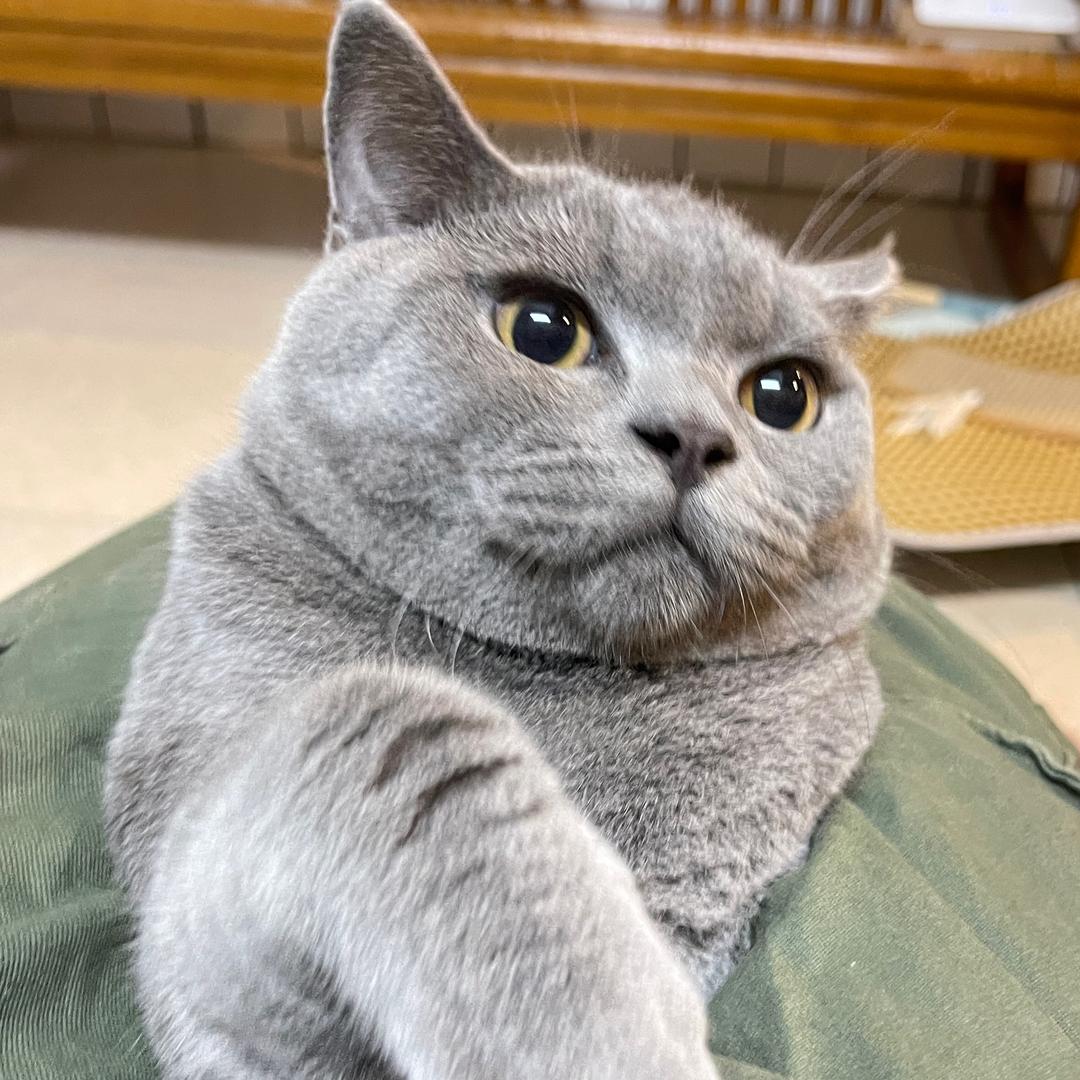 早点睡zzz