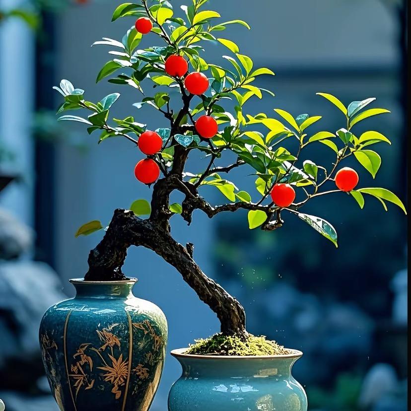鸿哥园艺
