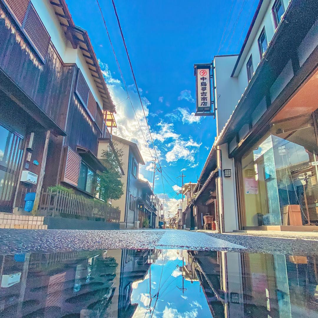 君洛小王🐳