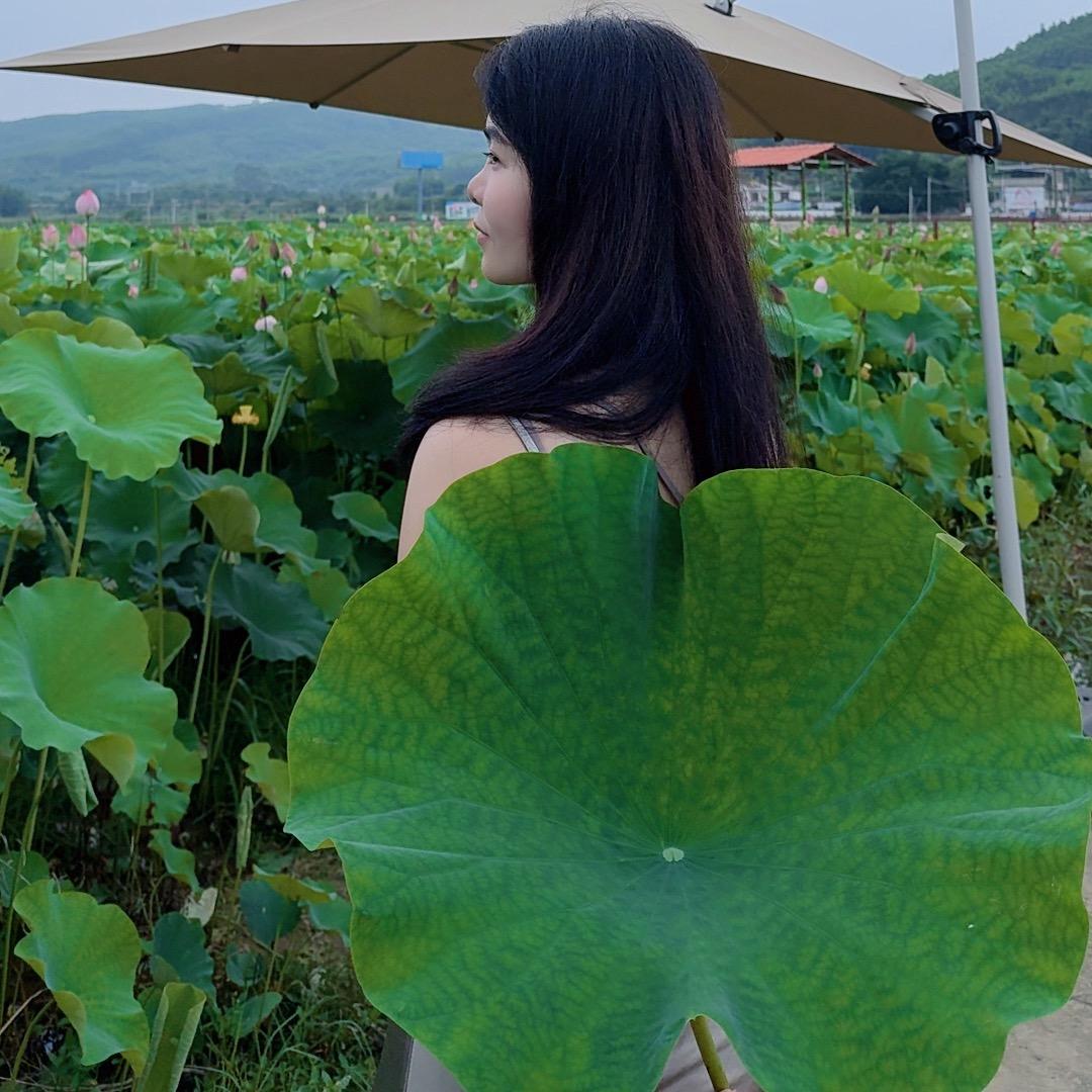 诚心而来，静心而归