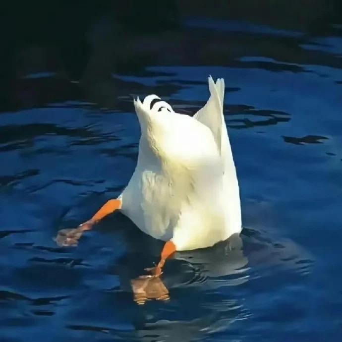 凉子件