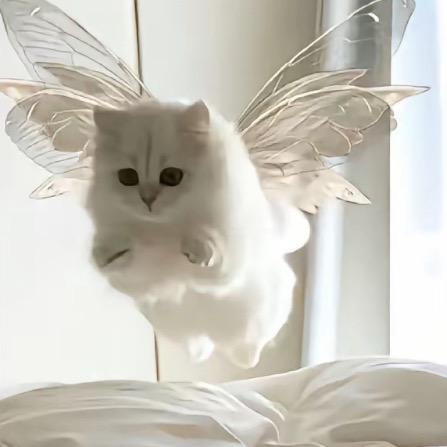 不是魚.