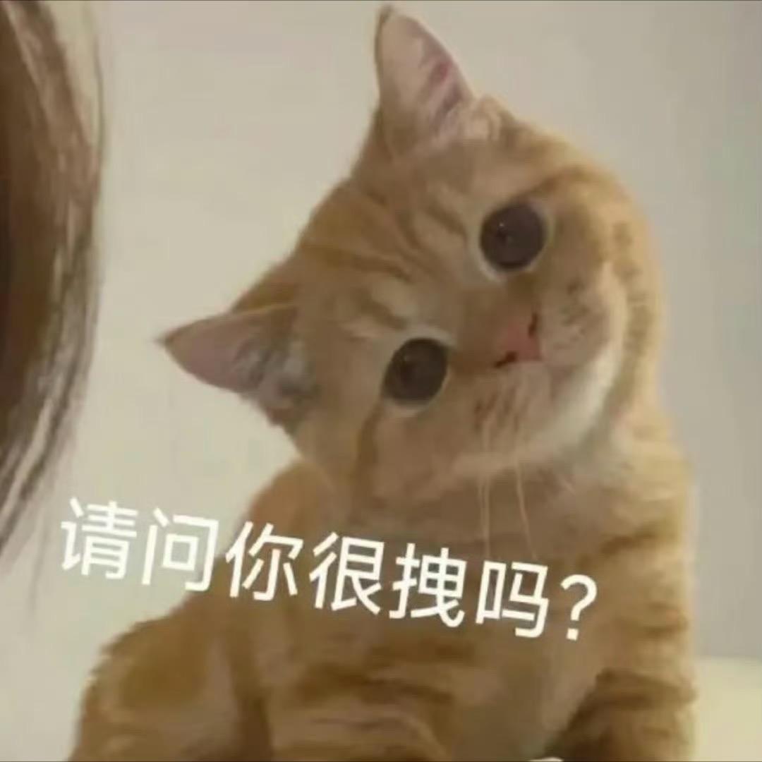 马777