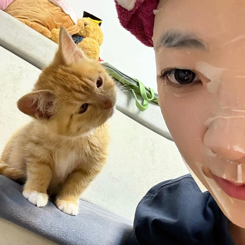 一只猫猫.