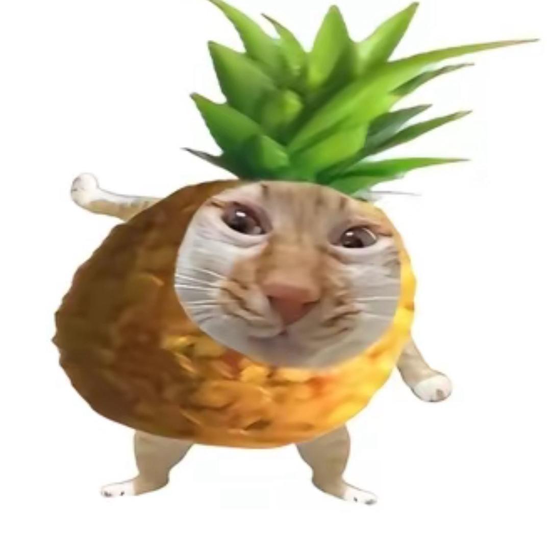 菠萝大王