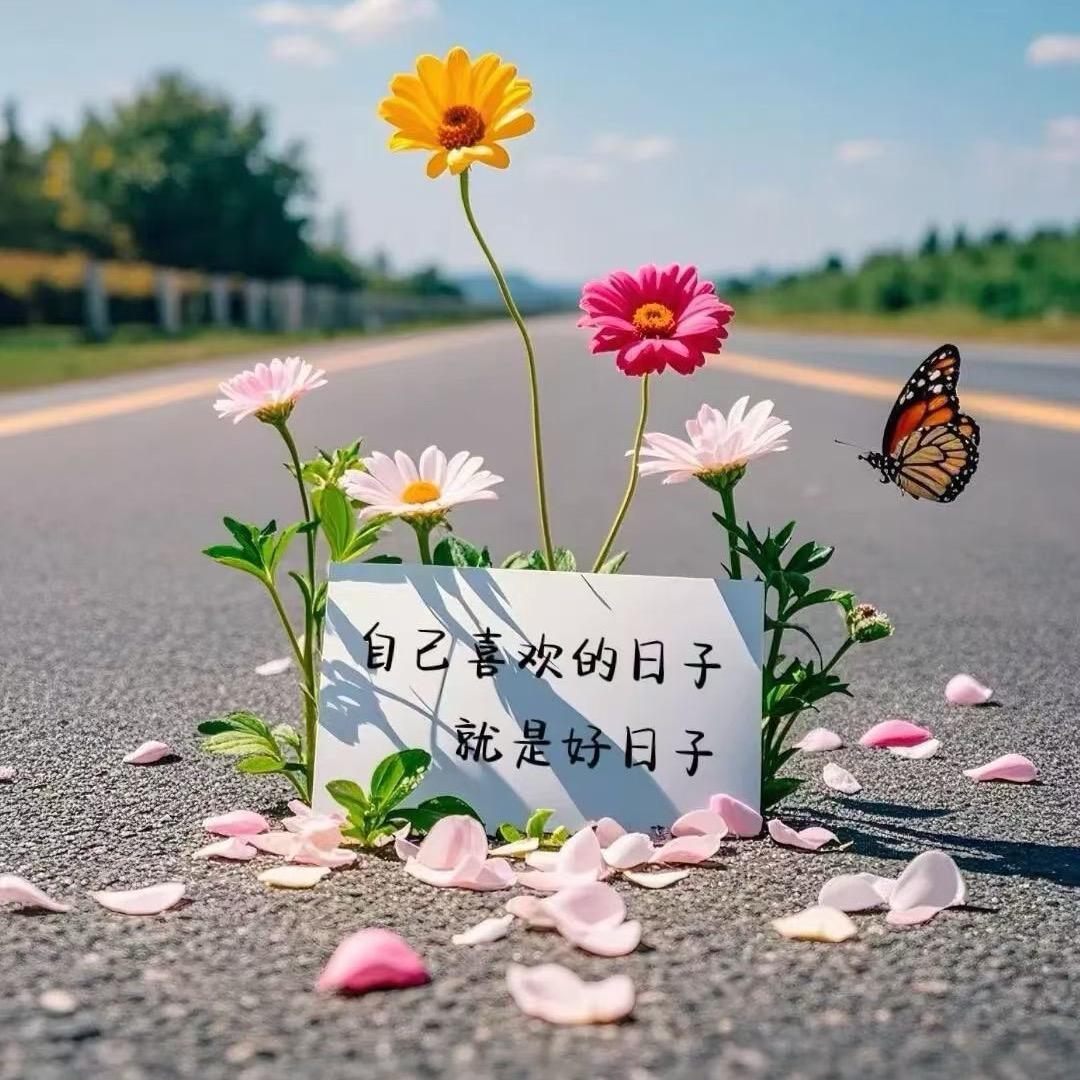 丹丹