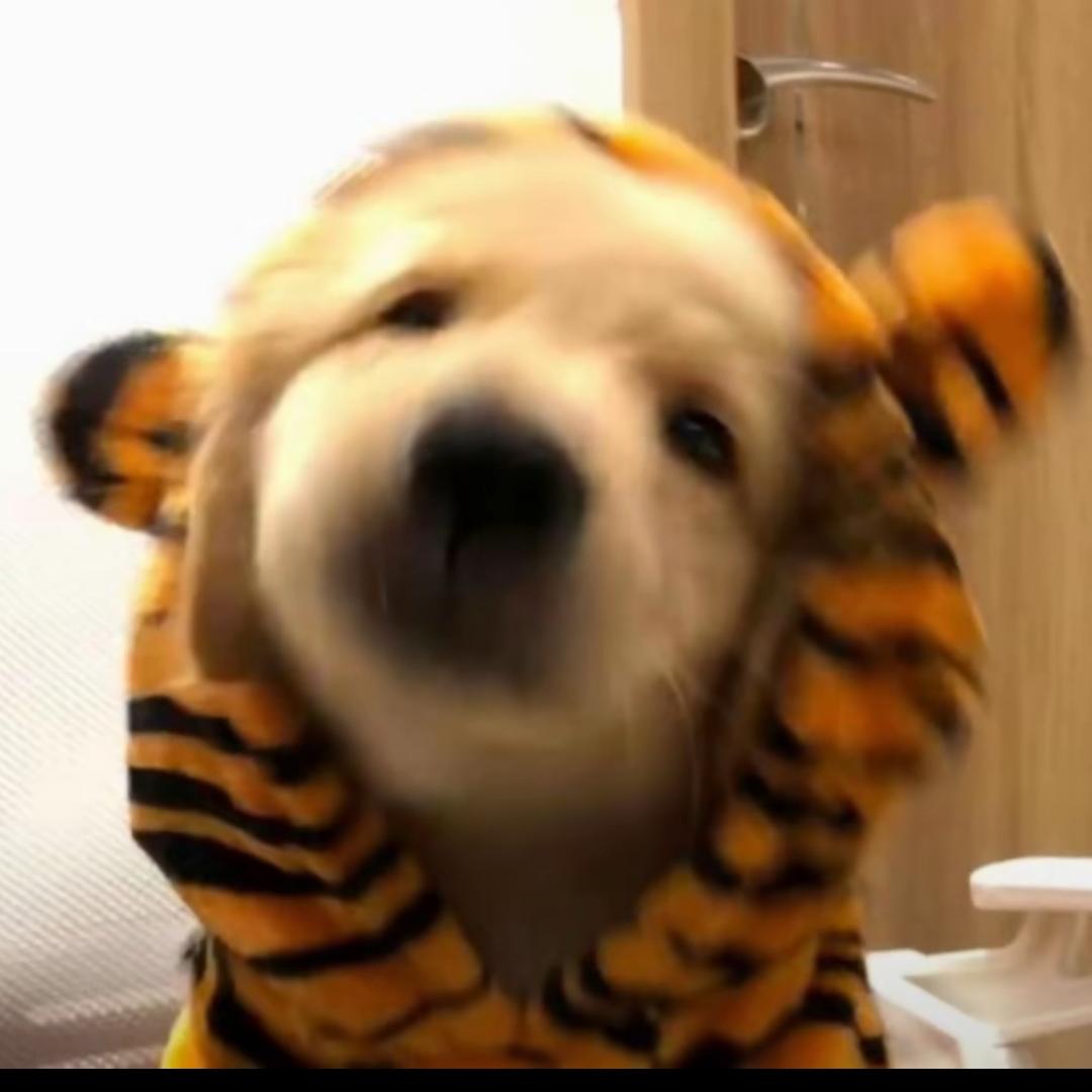 想睡觉