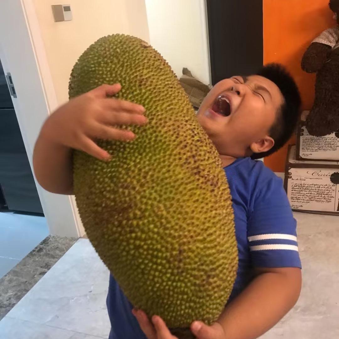 胖胖小鱼爸爸要拼命努力