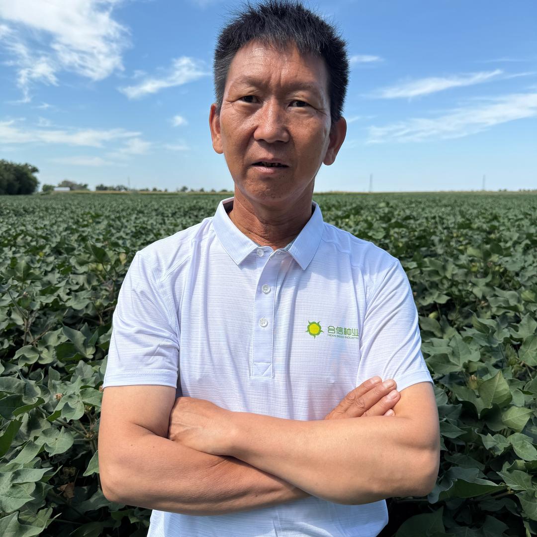 合信种业刘新建