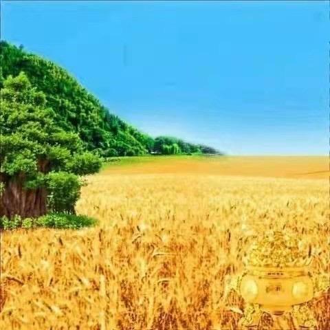 库车老机场新疆菜