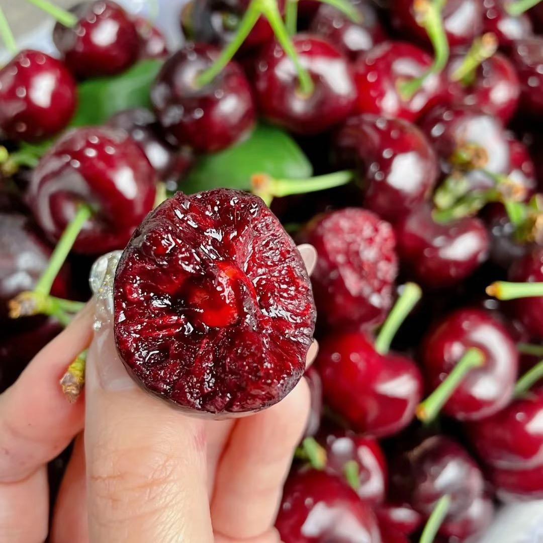 江南水果批发市场（内部直播间）顺丰空运