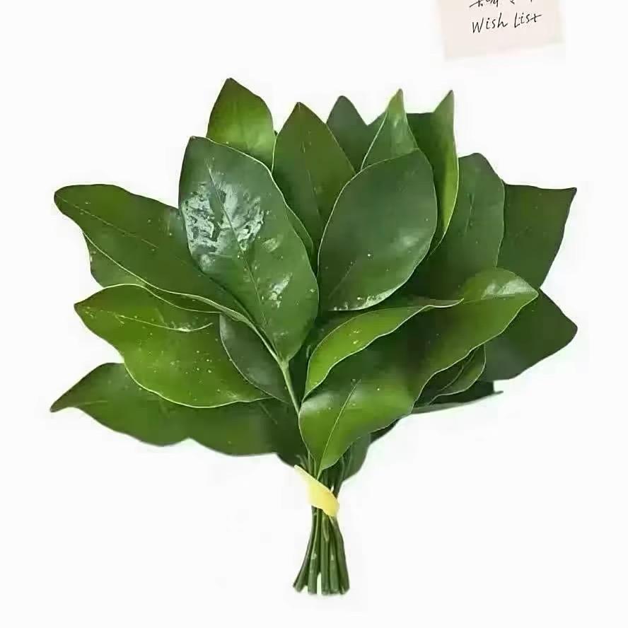 杂物小星球