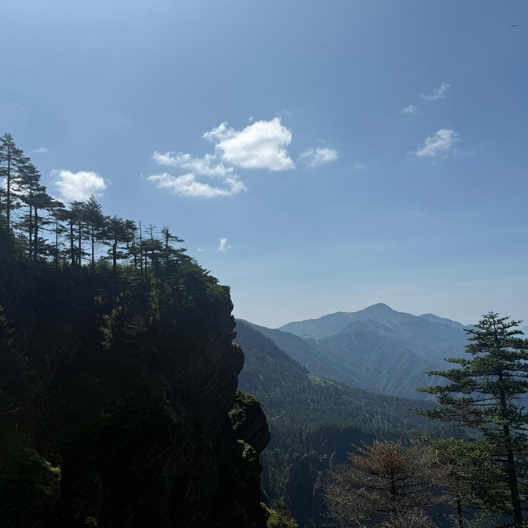 @尼古丁