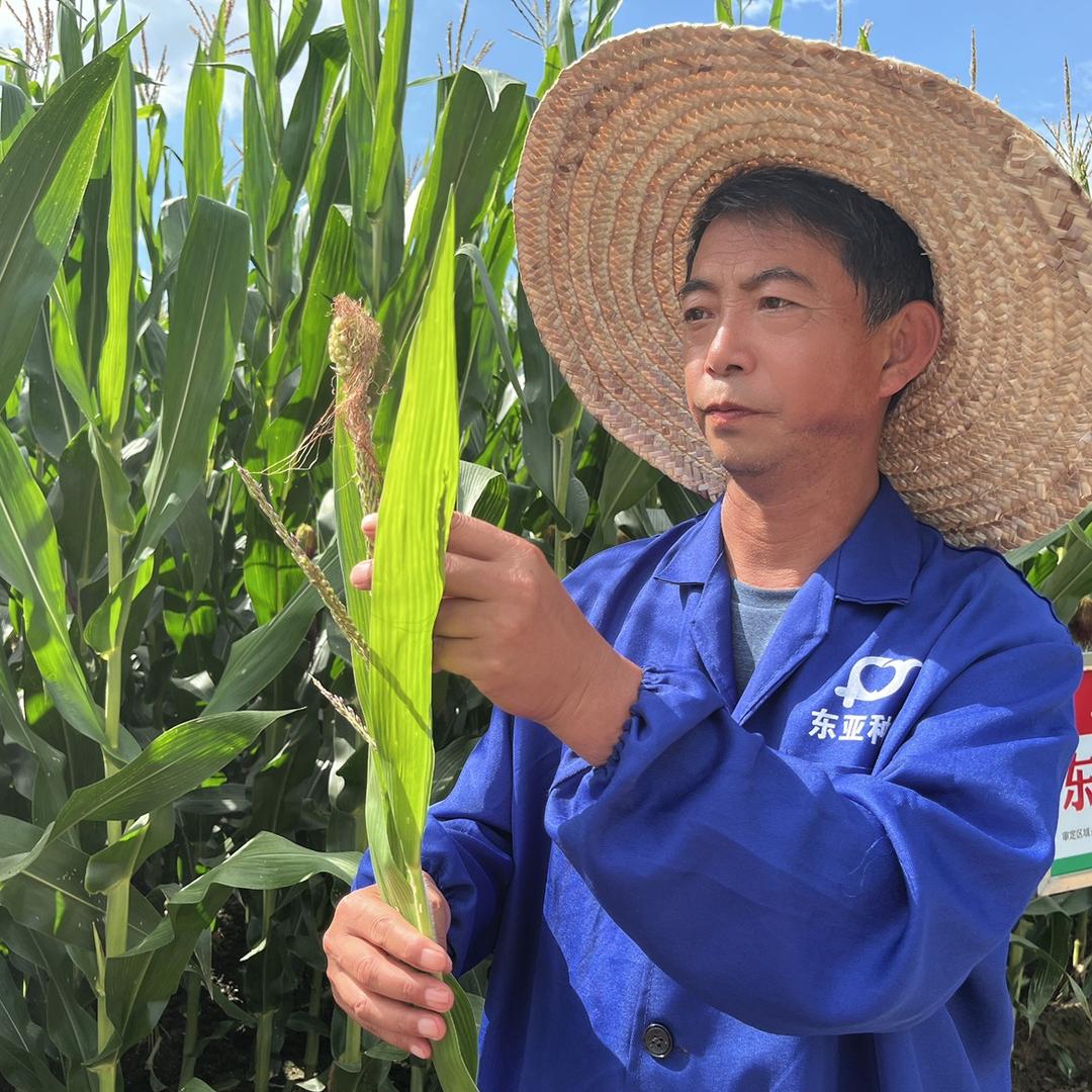 农科院张老师