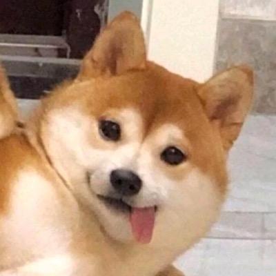 单身狗