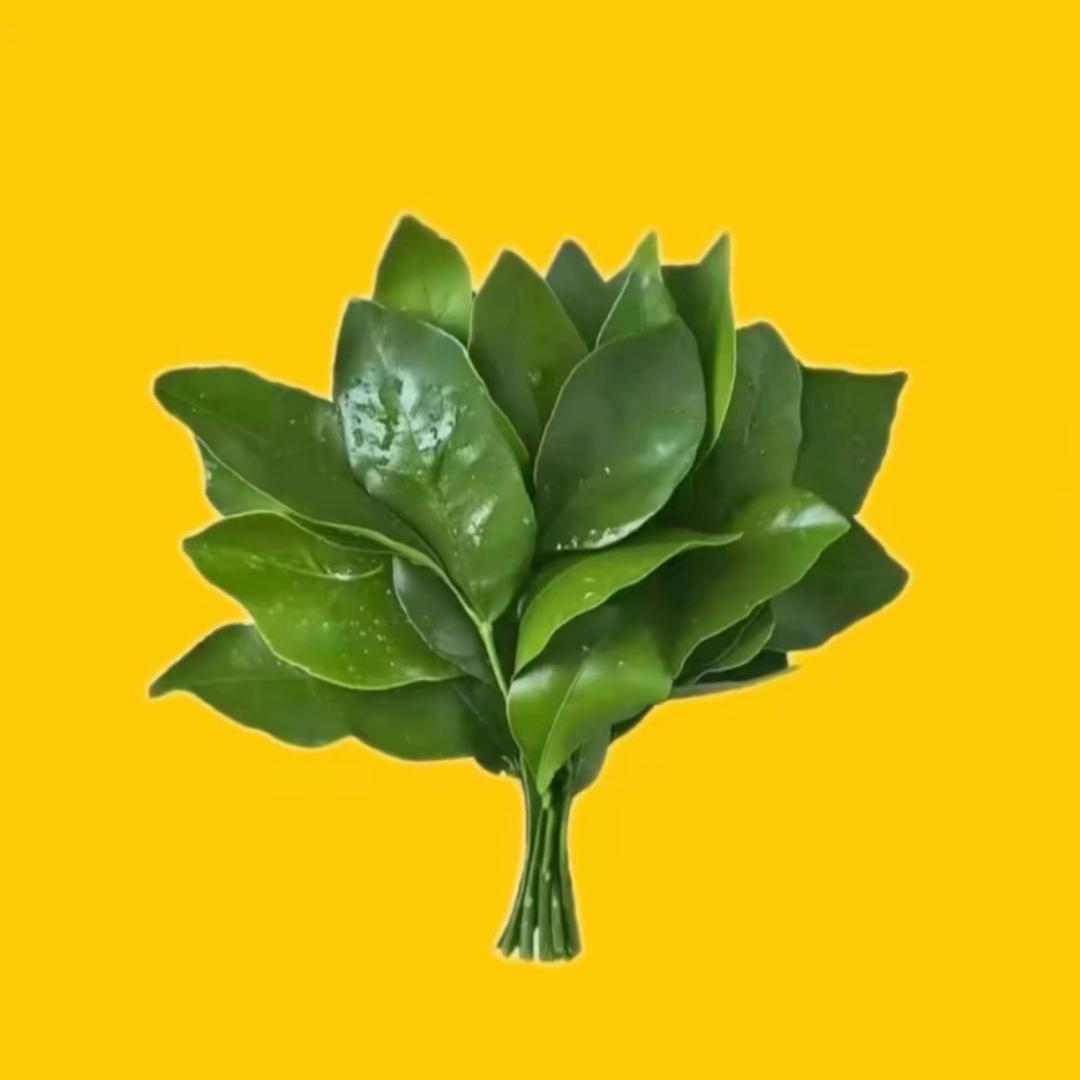 J.